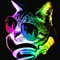 cat-FM