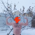 CnegoVikk