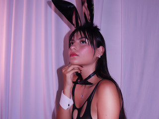 🐰