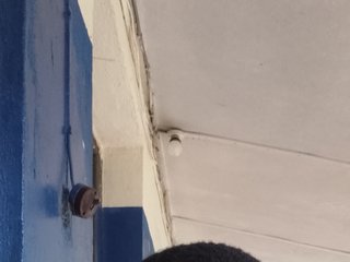 Loadguy