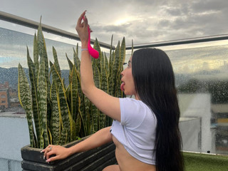 Seductive Shadows Collection