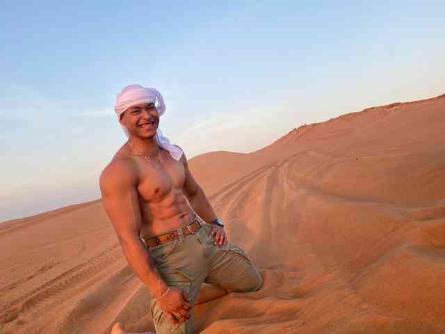 Will-Dubai