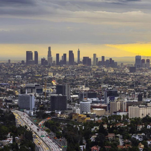 L.A Trip