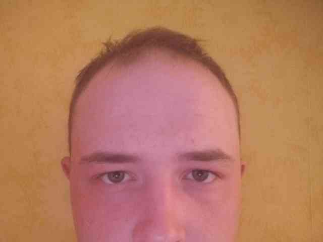 Kvispis