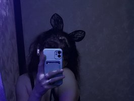 Red-Foxa