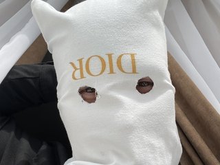 Companionn