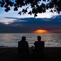 Drain-Guyss