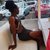 Sexyyvonne