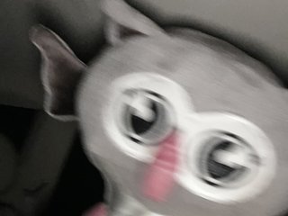Bazlaiterss