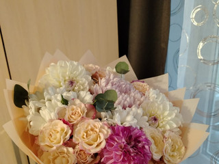 Комплимент от поклонников