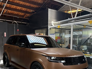 Tasty Tropical Coconess