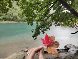 домашнее видео с VikNika