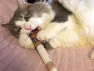 мой сыночка-корзиночка, Серёженька ;3