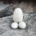 Gertrud