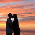 WildLoversOne