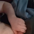 Davexz