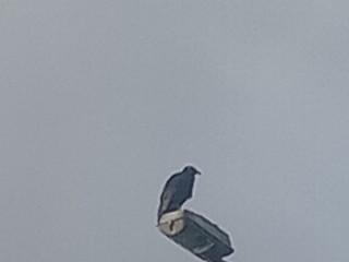 Your daily dose of inspiration