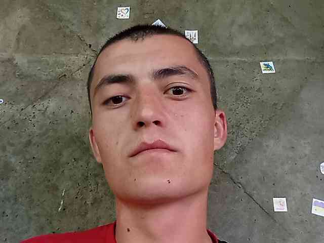 Bysikb