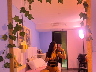 (*ᴗ͈ˬᴗ͈)ꕤ*.ﾟ