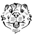 Beaverdd