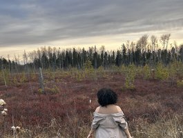 Nari8526 Profile Image