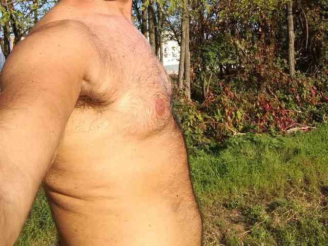 Sexy4pig