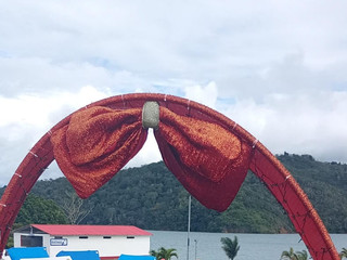 Touch of wild, hint of grace 🌙🖤