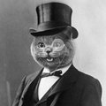 KinkyKatt
