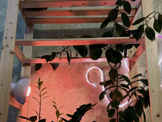 приятно познакомиться