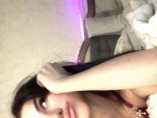 An evening photo shoot before the broadcast for you cats