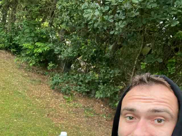Mrdaningo09