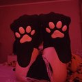 -LittleDog-