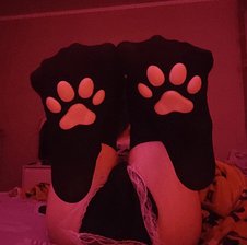 -LittleDog-