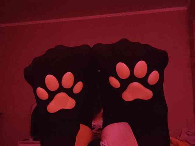 -LittleDog-