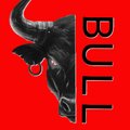 -nightbull-