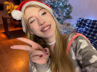 новогодний