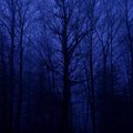 Whisper-from-the-dark