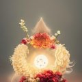 PAVLUSHA001