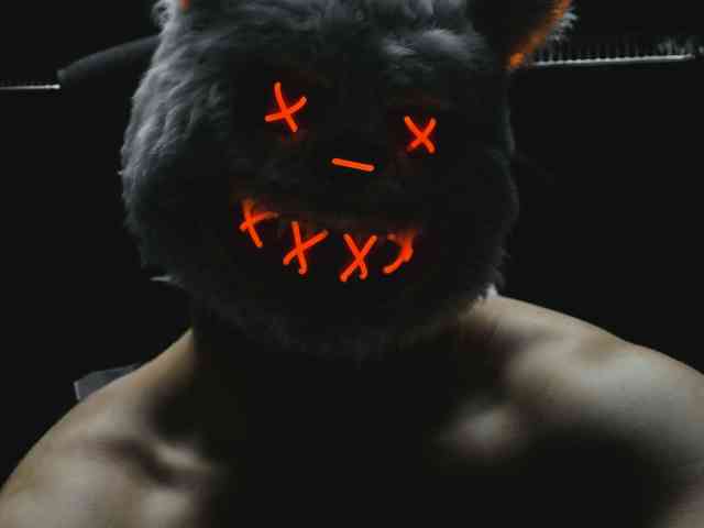TanukiX