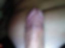 Penis 