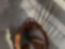 Miscellaneous 25
