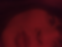 all red