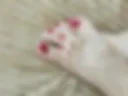 Feet