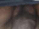 Cock