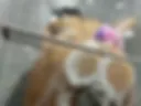 Imagine my big ass in your face