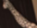 Album 2