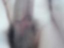 444