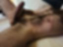 Phallus