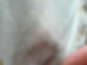 I am horny