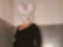 Vulgar rabbit